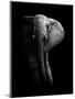 Elephant!-WildPhotoArt-Mounted Photographic Print