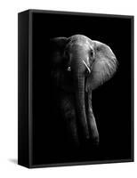 Elephant!-WildPhotoArt-Framed Stretched Canvas