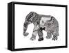 Elephant-Georgina Naisbitt-Framed Stretched Canvas