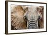 Elephant-Eric Meyer-Framed Photographic Print