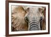 Elephant-Eric Meyer-Framed Photographic Print