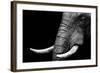 Elephant-Donvanstaden-Framed Art Print