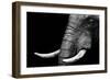 Elephant-Donvanstaden-Framed Art Print