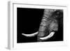 Elephant-Donvanstaden-Framed Art Print