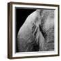 Elephant-Donvanstaden-Framed Art Print