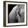 Elephant-Donvanstaden-Framed Art Print