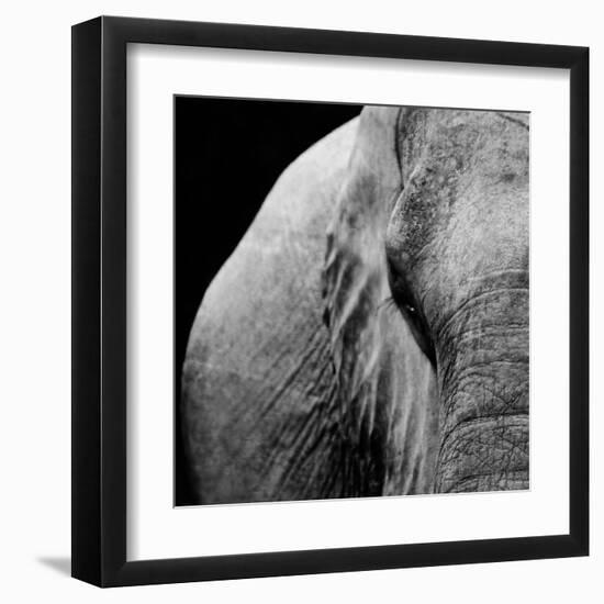 Elephant-Donvanstaden-Framed Art Print