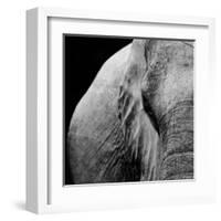 Elephant-Donvanstaden-Framed Art Print