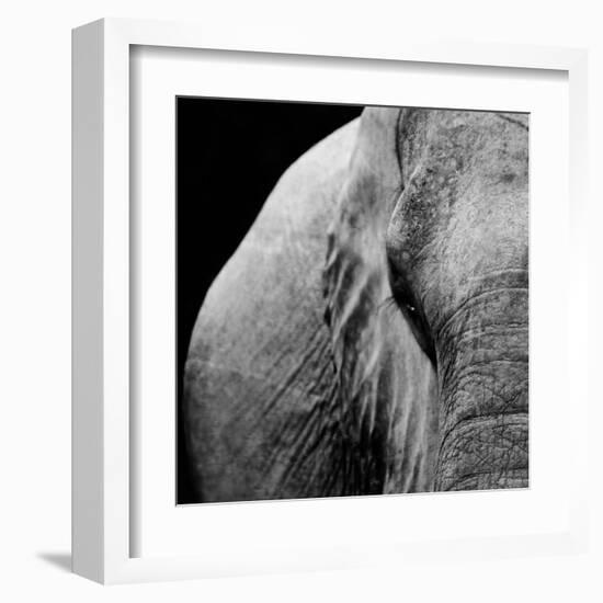 Elephant-Donvanstaden-Framed Art Print