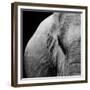 Elephant-Donvanstaden-Framed Premium Giclee Print