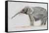 Elephant-Jung Sook Nam-Framed Stretched Canvas