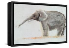 Elephant-Jung Sook Nam-Framed Stretched Canvas