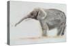 Elephant-Jung Sook Nam-Stretched Canvas