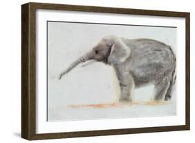 Elephant-Jung Sook Nam-Framed Giclee Print