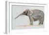 Elephant-Jung Sook Nam-Framed Giclee Print