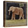 Elephant-Lisa Ven Vertloh-Stretched Canvas