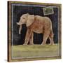 Elephant-Lisa Ven Vertloh-Stretched Canvas