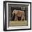 Elephant-Lisa Ven Vertloh-Framed Art Print