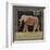 Elephant-Lisa Ven Vertloh-Framed Art Print