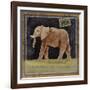 Elephant-Lisa Ven Vertloh-Framed Art Print