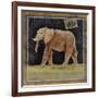 Elephant-Lisa Ven Vertloh-Framed Art Print