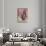 Elephant-Mark Adlington-Stretched Canvas displayed on a wall