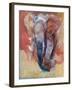 Elephant-Mark Adlington-Framed Giclee Print