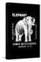 Elephant-null-Stretched Canvas