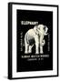 Elephant-null-Framed Art Print