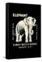 Elephant-null-Framed Stretched Canvas