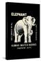 Elephant-null-Stretched Canvas