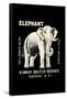 Elephant-null-Framed Stretched Canvas