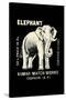 Elephant-null-Stretched Canvas