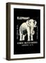 Elephant-null-Framed Art Print