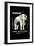 Elephant-null-Framed Art Print