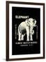 Elephant-null-Framed Art Print