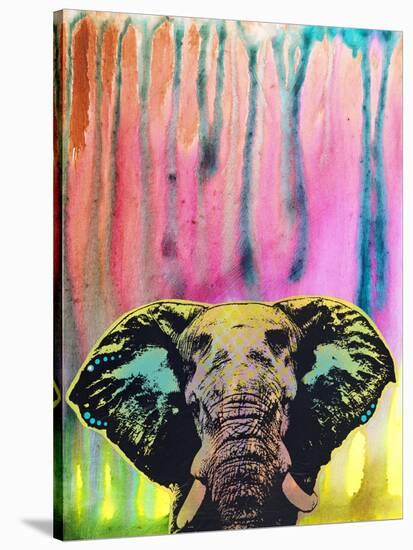 Elephant-Dean Russo-Stretched Canvas