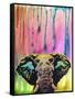 Elephant-Dean Russo-Framed Stretched Canvas