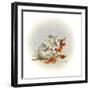 Elephant-Peggy Harris-Framed Giclee Print