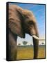 Elephant-James W. Johnson-Framed Stretched Canvas