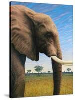 Elephant-James W. Johnson-Stretched Canvas