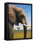 Elephant-James W. Johnson-Framed Stretched Canvas