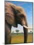 Elephant-James W. Johnson-Mounted Giclee Print