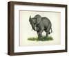 Elephant-null-Framed Giclee Print