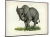 Elephant-null-Mounted Giclee Print