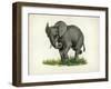 Elephant-null-Framed Giclee Print