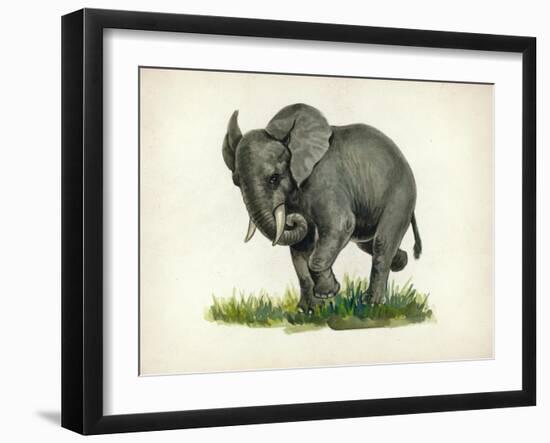 Elephant-null-Framed Giclee Print