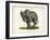 Elephant-null-Framed Giclee Print