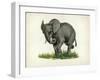 Elephant-null-Framed Giclee Print