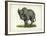 Elephant-null-Framed Giclee Print